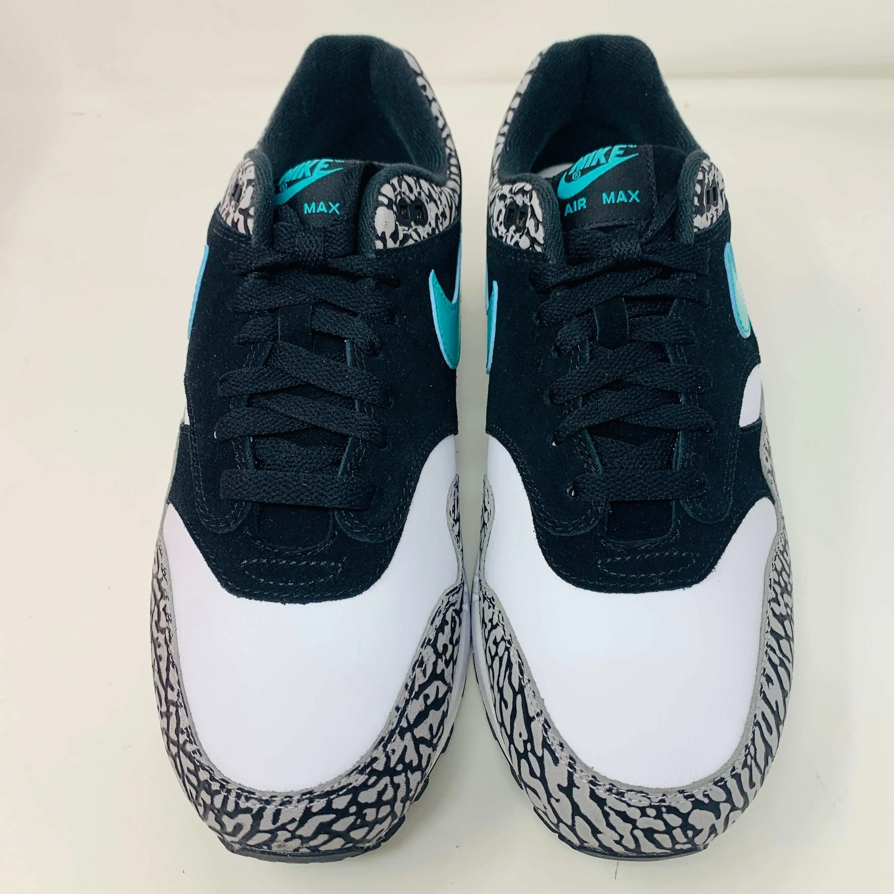 Nike Air Max 1 atmos Elephant (2017)