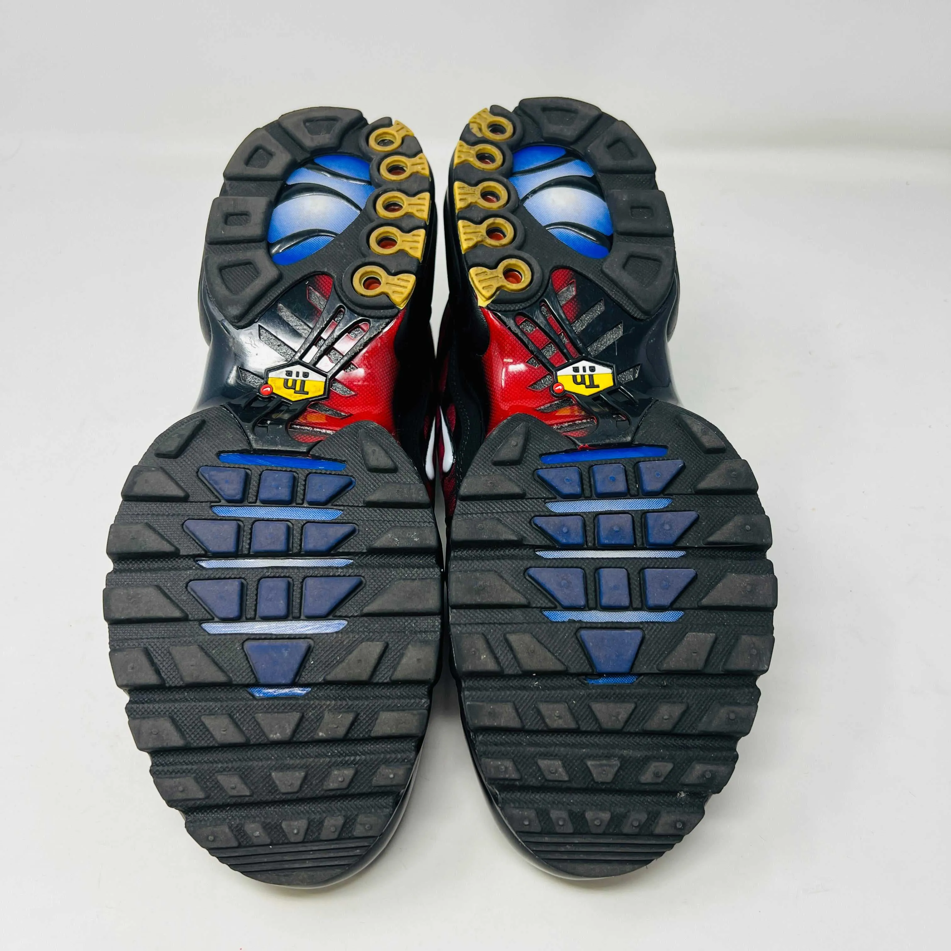 Nike Air Max Plus 25th Anniversary