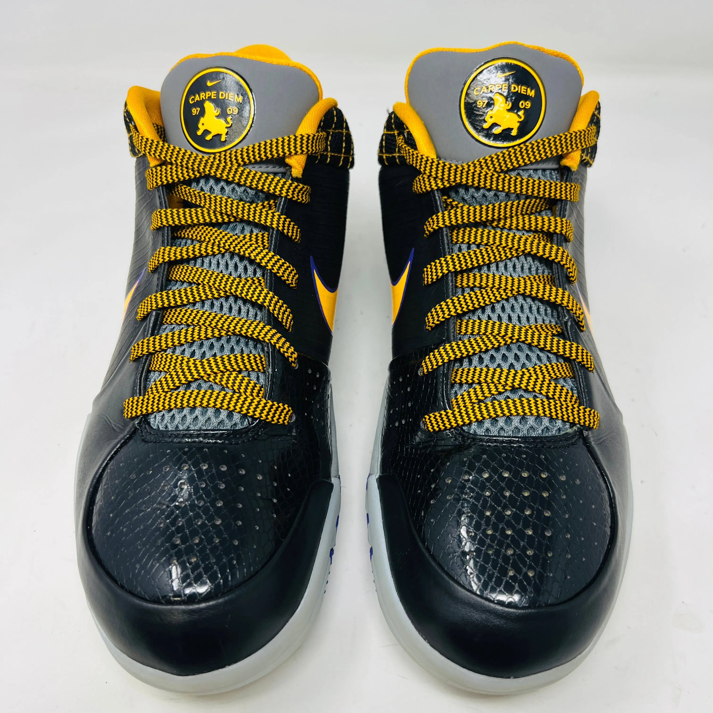 Nike Kobe 4 Protro Carpe Diem
