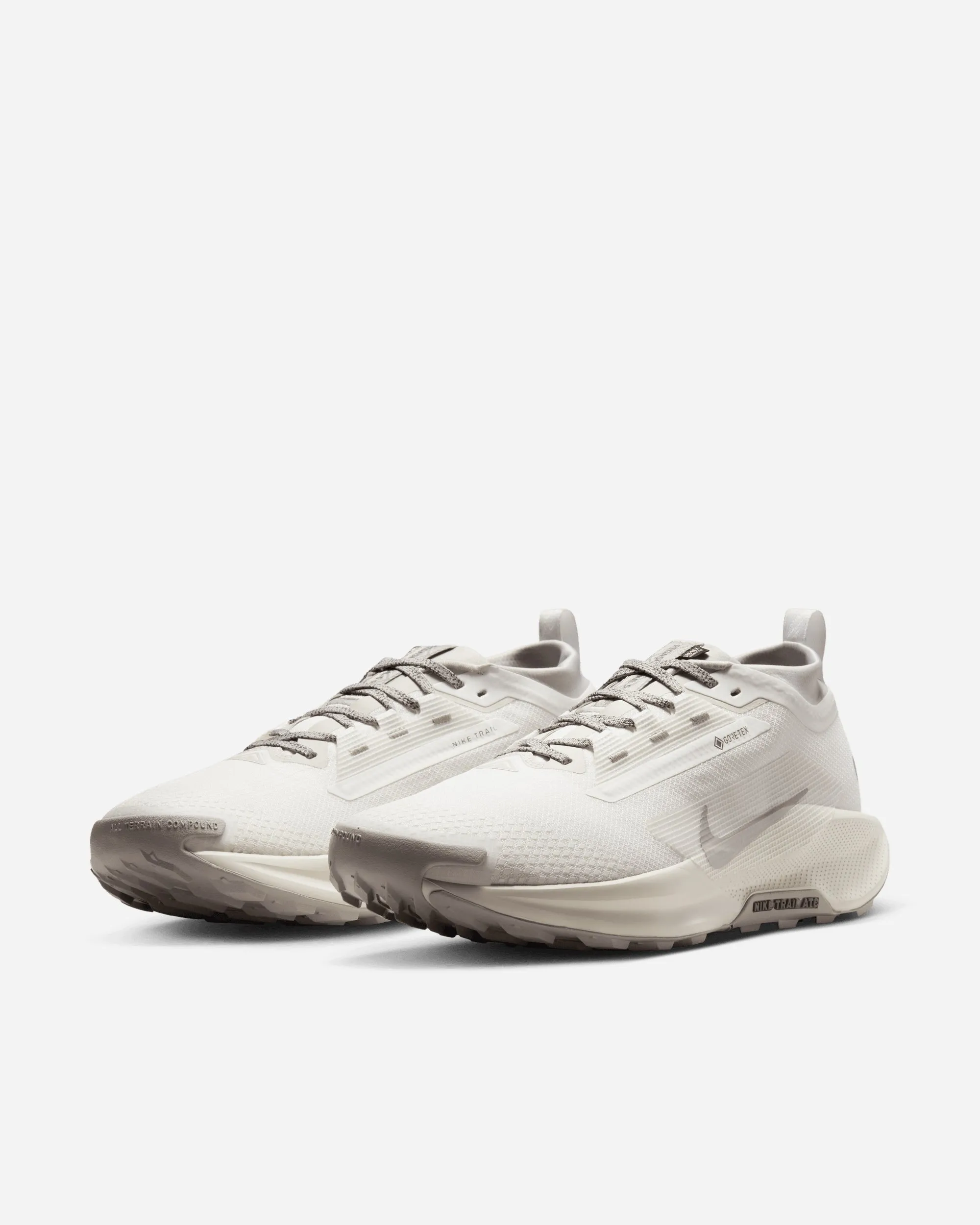 Pegasus Trail 5 GORE-TEX SP