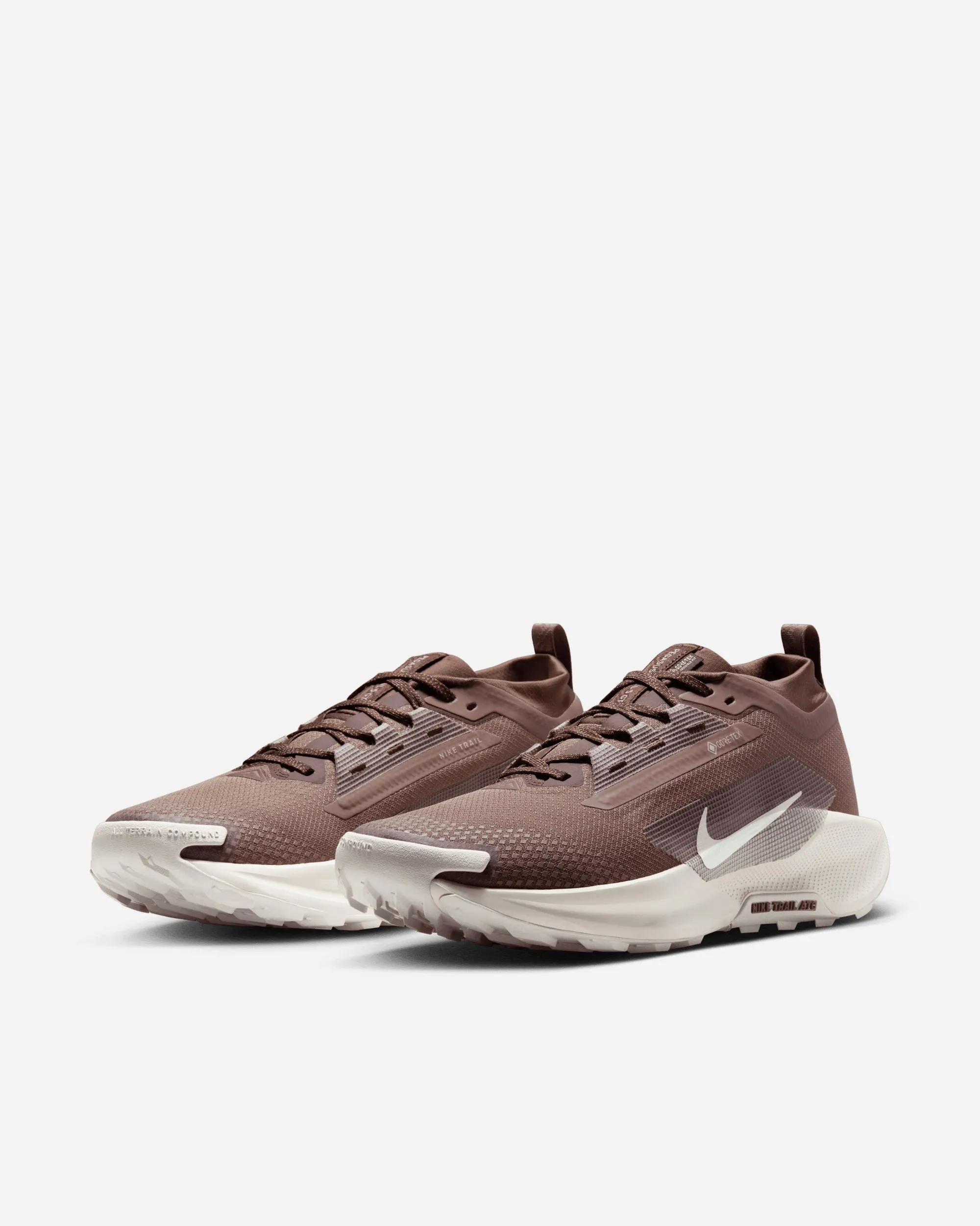 Pegasus Trail 5 GORE-TEX SP